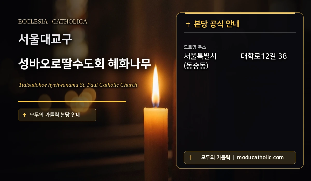 성바오로딸수도회 혜화나무 - 서울대교구